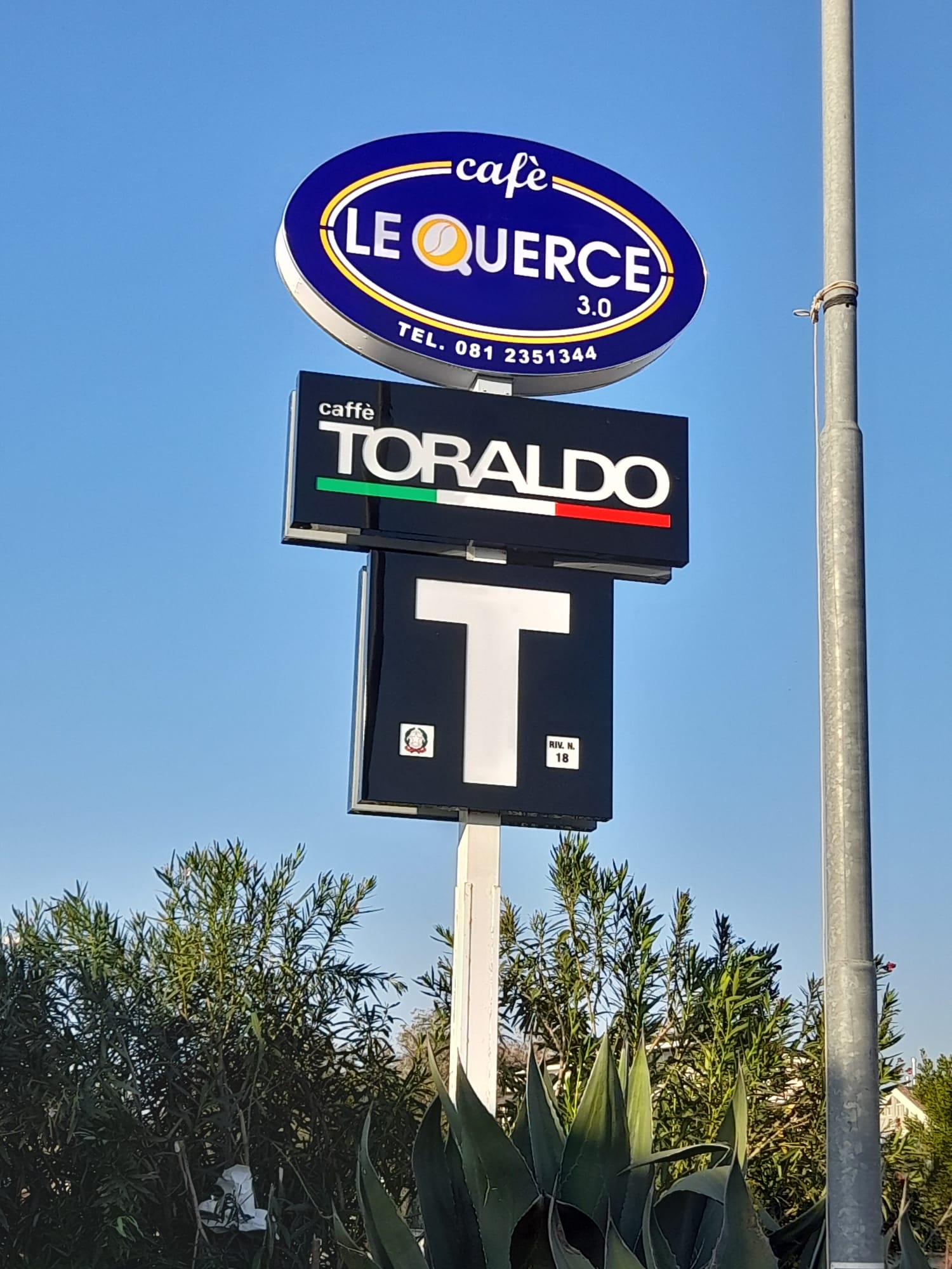 Insegne